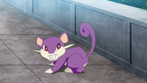 Rattata de Goh.png