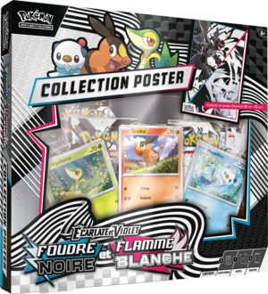 Collection Poster Unys.png