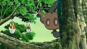 LV050 - Larvibule et Brocélôme.png