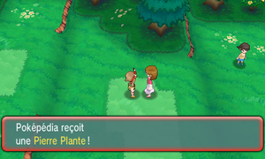 Route 118 Pierre Plante ROSA.png