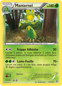 Manternel (Noir & Blanc Tempête Plasma 10)