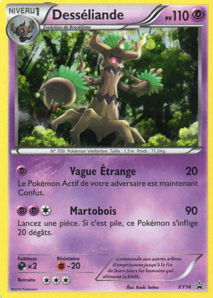 Carte Promo XY XY14.png