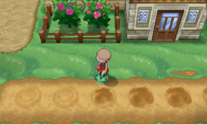 Champ de Baies (Kalos) arrosage.png