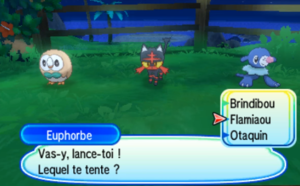 Choix Starter USUL.PNG