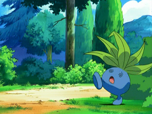 DP005 - Mystherbe.png