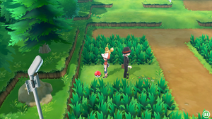 Route 6 Garde-Stats LGPE.png