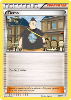 Tierno (XY Kit du Dresseur Scalproie 19)