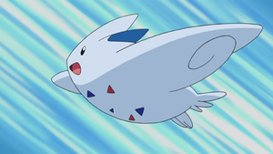 DP173 - Togekiss d'Aurore.png