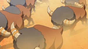 Frison sauvages Film 14.png