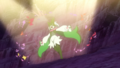 Magie Florale