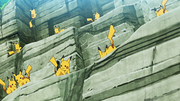Pikachu(sauvages)