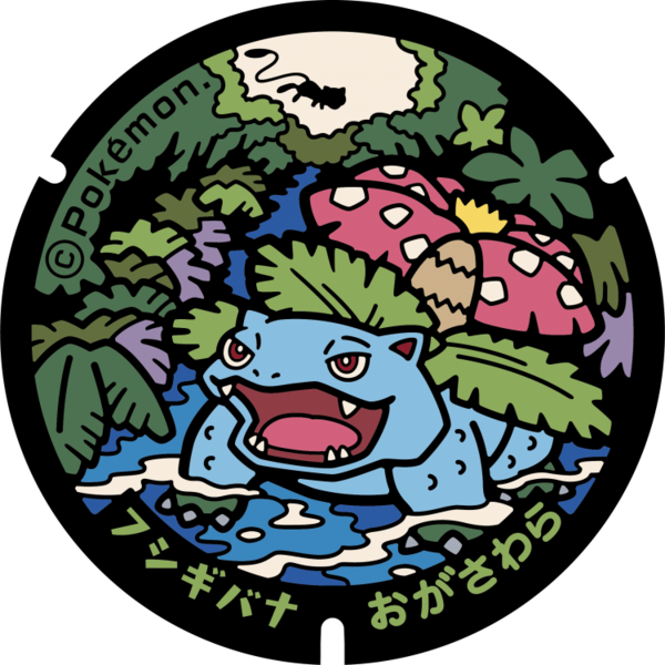 Fichier:Poké Lid 153 Ogasawara.png