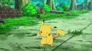 XY010 - Pikachu de Sacha.png