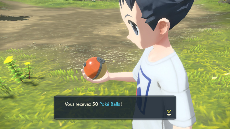 Fichier:Aire d'Initiation Poké Ball 1 LPA.png