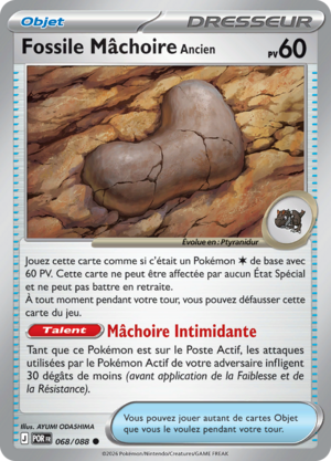 Carte Méga-Évolution Équilibre Parfait 068.png