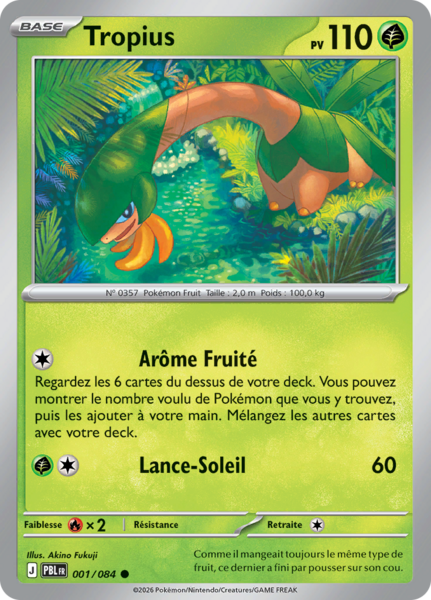 Fichier:Carte Méga-Évolution Nuit Noire 001.png