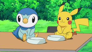 DP173 - Tiplouf d'Aurore et Pikachu de Sacha.png
