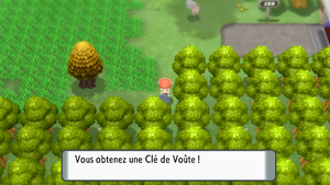 Route 208 Clé de Voûte DEPS.png