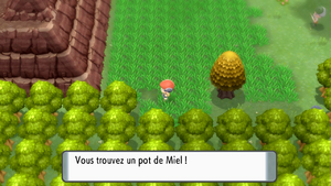 Route 208 Miel DEPS.png