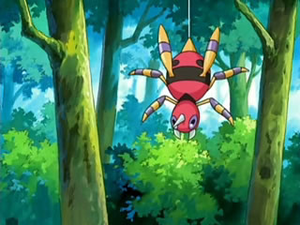 DP071 - Migalos.png