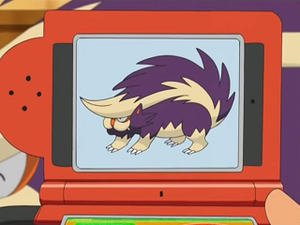 DP126 - Moufflair Pokédex.png