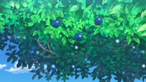 LH109 - Baie Oran.png