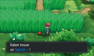Route 6 Spécial + XY.png