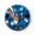 Pièce Pokémon - Amphinobi