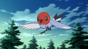 XY033 - Passerouge de Sacha.png