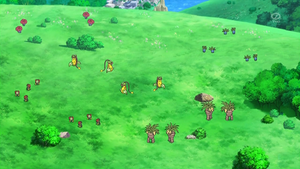 XY057 - Joliflor, Rafflesia, Noadkoko et Mystherbe.png