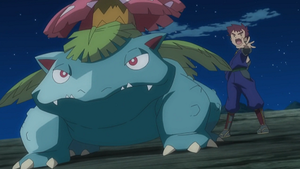 XY100 - Florizarre de Nihei.png