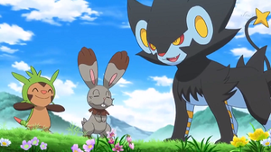 XY104 - Marisson et Sapereau de Lem.png